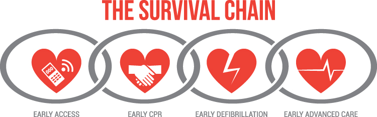 The survival chain